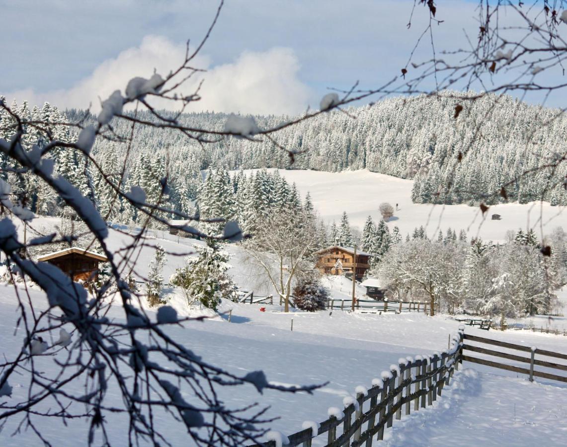 Pension Heidelberg - Fam Fuchs ฮอพฟ์การ์เทน อิม บริกเซนทัล ภายนอก รูปภาพ