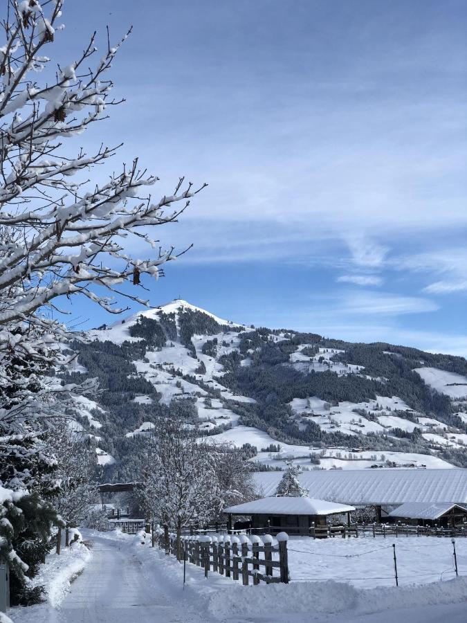 Pension Heidelberg - Fam Fuchs ฮอพฟ์การ์เทน อิม บริกเซนทัล ภายนอก รูปภาพ